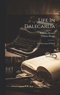 Life In Dalecarlia