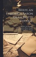 Briefe an Friedrich Baron de la Motte Fouqu.