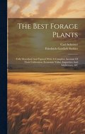 Best Forage Plants