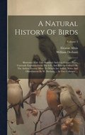 A Natural History Of Birds