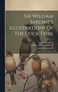 Sir William Jardine's Illustrations Of The Duck Tribe