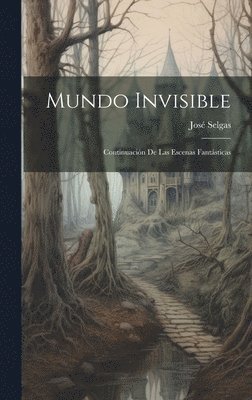 José Selgas - Mundo Invisible, Inbunden
