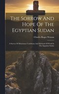 The Sorrow And Hope Of The Egyptian Sudan
