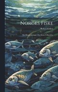 Norges fiske
