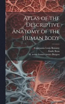 Émile 1810- Beau, J. (Jean) Cruveilhier, Constantin Louis B. Bonamy - Atlas of the Descriptive Anatomy of the Human Body [electronic Resource], Inbunden. Tillgänglighet: Lägg i varukorg
