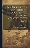 im Bernstein Befindlichen Organischen Reste der Vorwelt, erster Band