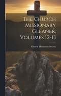 Church Missionary Gleaner, Volumes 12-13