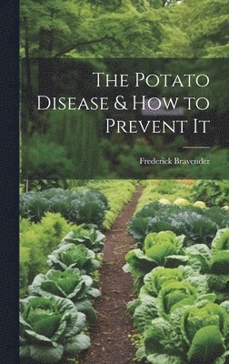Frederick Bravender - Potato Disease & How to Prevent It, Inbunden. Tillgänglighet: Lägg i varukorg