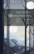 Junge Skandinavien