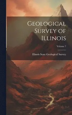 Illinois State Geological Survey - Geological Survey of Illinois; Volume 7, Inbunden. Tillgänglighet: Tillfälligt slut