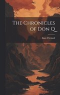 The Chronicles of Don Q