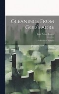 Gleanings From God's Acre