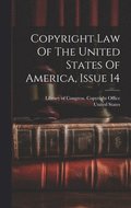 Copyright Law Of The United States Of America, Issue 14