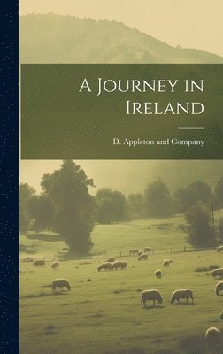 Journey in Ireland