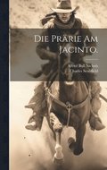Prrie am Jacinto.