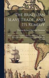 The Brazilian Slave Trade, and its Remedy