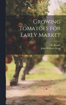 John William Lloyd, I S 1882- Brooks - Growing Tomatoes for Early Market, Inbunden. Tillgänglighet: Lägg i varukorg
