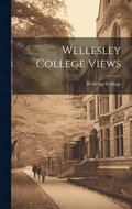 Wellesley College Views