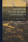 Theory Of Socialism And Capitalism