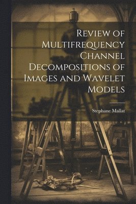Stephane Mallat - Review of Multifrequency Channel Decompositions of Images and Wavelet Models, Häftad. Tillgänglighet: Lägg i varukorg