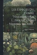 Les Espces Du Genre &quot;haemanthus L., (sous-genre Nerissa Salisb.)...