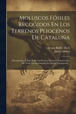 Moluscos Fósiles Recogidos En Los Terrenos Pliocenos De Cataluña