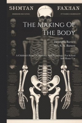 Making Of The Body