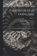 Palontologie Franaise