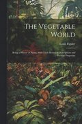 Vegetable World