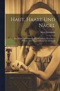 Haut, Haare Und Ngel