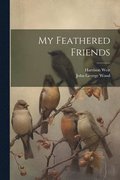 My Feathered Friends
