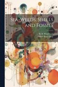 Sea-Weeds, Shells and Fossils