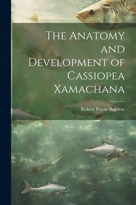 Robert Payne Bigelow - Anatomy and Development of Cassiopea Xamachana, Häftad. Tillgänglighet: Lägg i varukorg