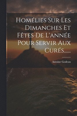 Antoine Godeau - Homélies Sur Les Dimanches Et Fêtes De L'année Pour Servir Aux Curés......, Häftad