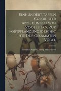 Einhundert Tafeln colorirter Abbildungen von Vogeleiern, zur Fortpflanzungsgeschichte der gesammten Vgel