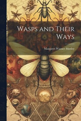 Margaret Warner Morley - Wasps and Their Ways, Häftad. Tillgänglighet: Lägg i varukorg