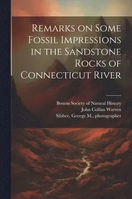 George M Silsbee, John Collins Warren - Remarks on Some Fossil Impressions in the Sandstone Rocks of Connecticut River, Häftad. Tillgänglighet: Lägg i varukorg