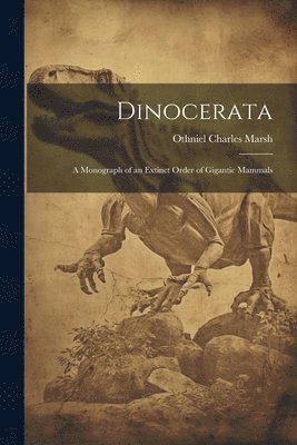 Dinocerata