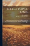 Best Forage Plants