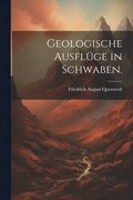 Geologische Ausflge in Schwaben.