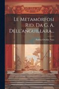 Metamorfosi Rid. Da G. A. Dell'anguillara...