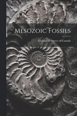 Mesozoic Fossils