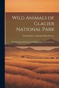 Wild Animals of Glacier National Park