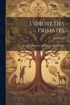 Paul Broca - L'ordre Des Primates, Häftad