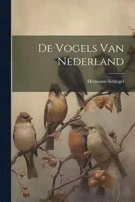 Hermann Schlegel - De Vogels Van Nederland, Häftad. Tillgänglighet: Tillfälligt slut
