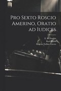 Pro Sexto Roscio Amerino, oratio ad iudices