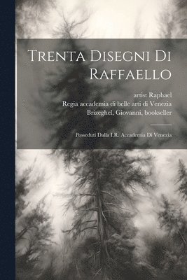 Regia Accademia Di Belle Arti Di Vene, Artist Raphael, Francesco - Zanotto - Trenta disegni di Raffaello, Häftad. Tillgänglighet: Lägg i varukorg