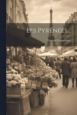 Vincent Chausenque - Les Pyrénées..., Häftad