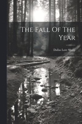 Dallas Lore Sharp - Fall Of The Year, Häftad. Tillgänglighet: Lägg i varukorg