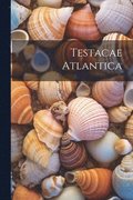 Testacae Atlantica